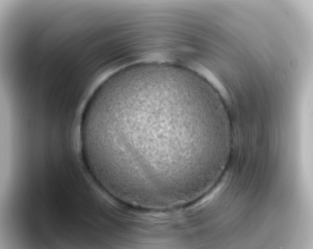 X0000096691075200802121227