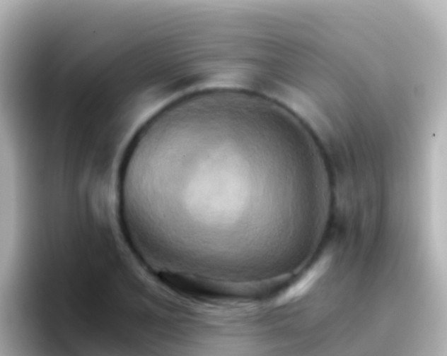 X0000096691077200802121227