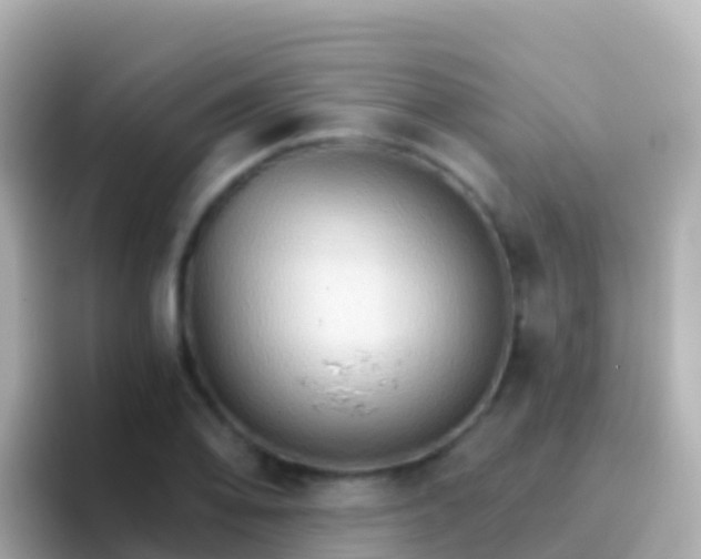 X0000096691078200802121227