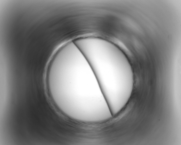 X0000096691079200802121227