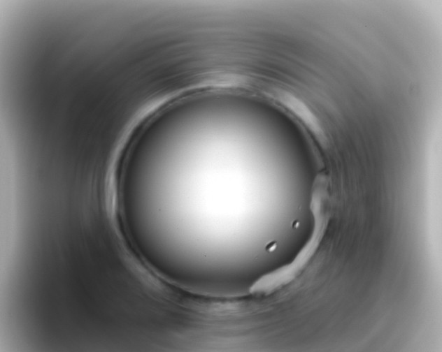 X0000096691080200802121227