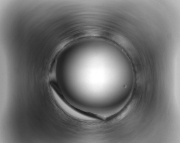 X0000096691081200802121227