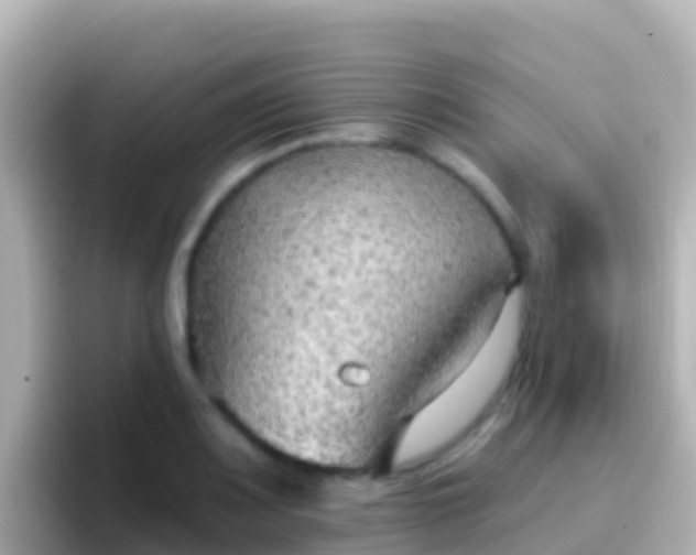 X0000096691083200802121227