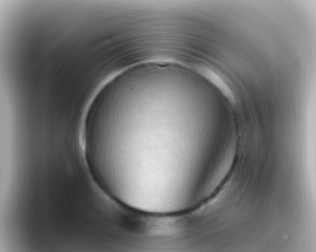 X0000096691084200802121227