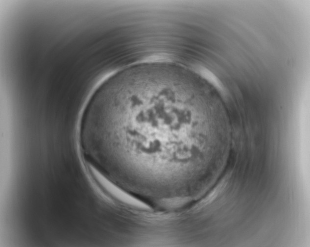 X0000096691087200802121227