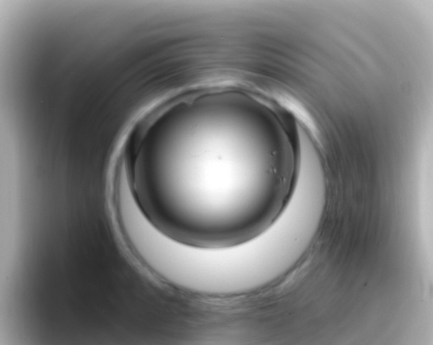 X0000096691088200802121227