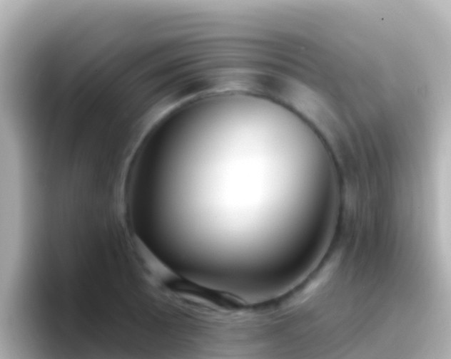 X0000096691089200802121227