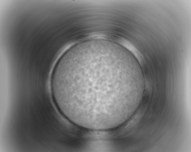 X0000096691090200802121227