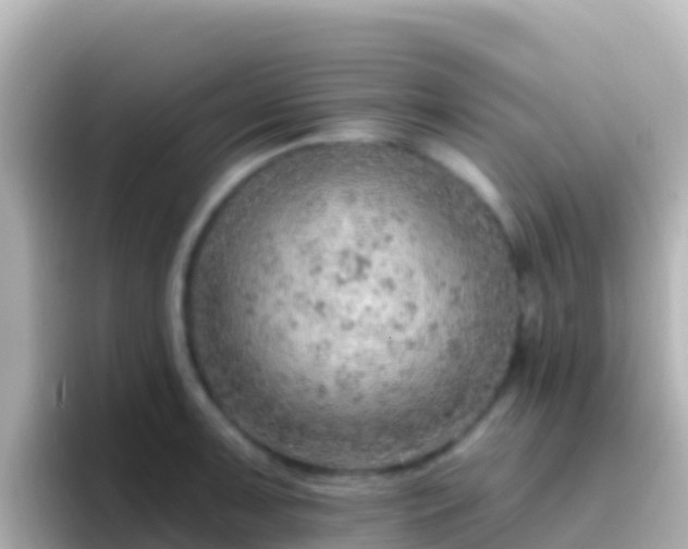 X0000096691091200802121227