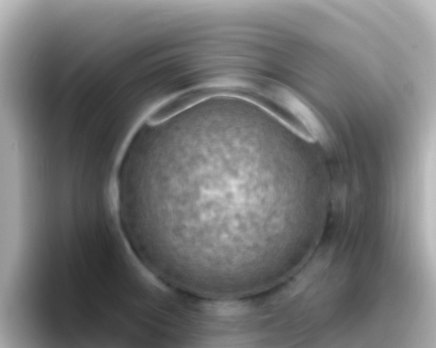 X0000096691092200802121227