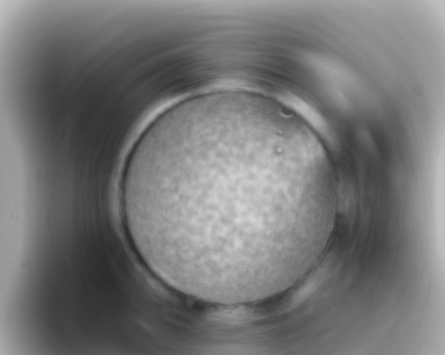 X0000096691094200802121227