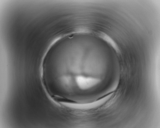 X0000096691095200802121227