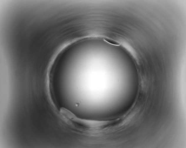 X0000096691096200802121227