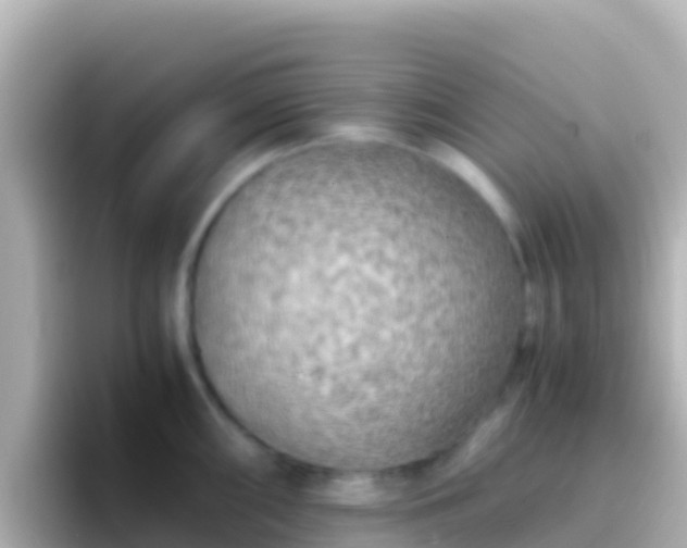 X0000096691098200802121227