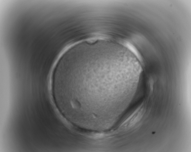 X0000096691099200802121227