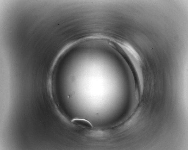 X0000096691100200802121227