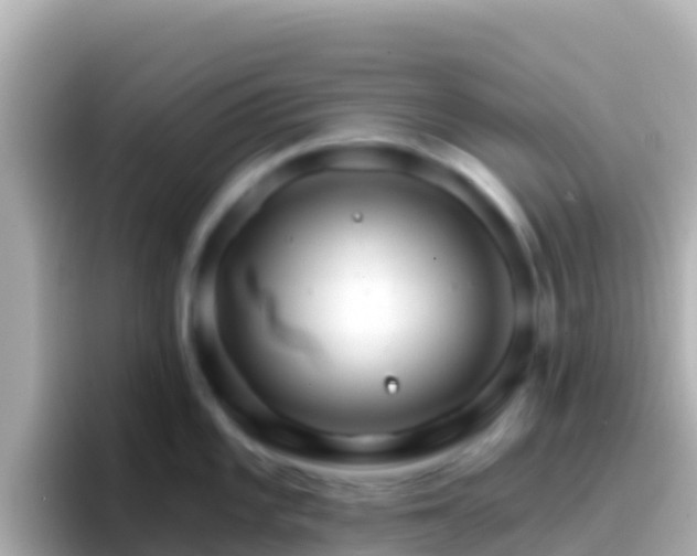 X0000096691101200802121227