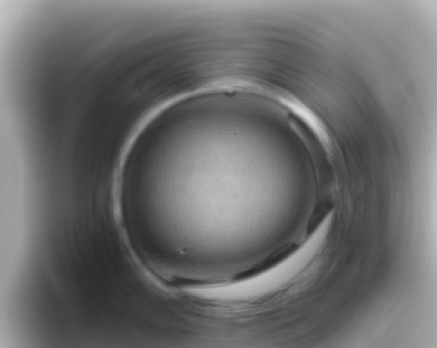 X0000096691102200802121227