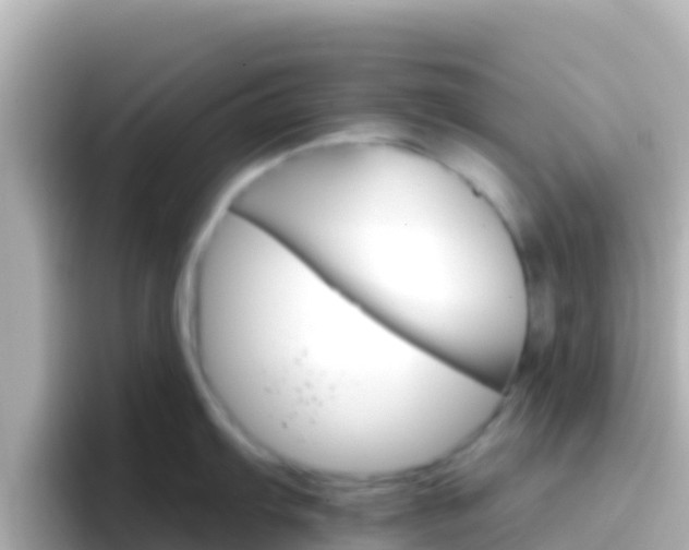 X0000096691103200802121227