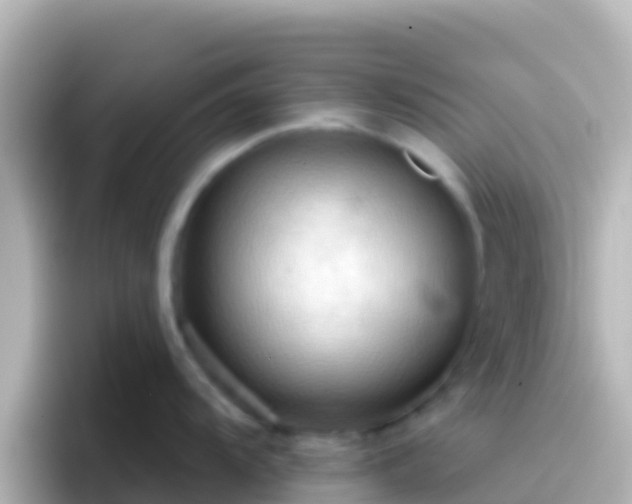 X0000096691104200802121227