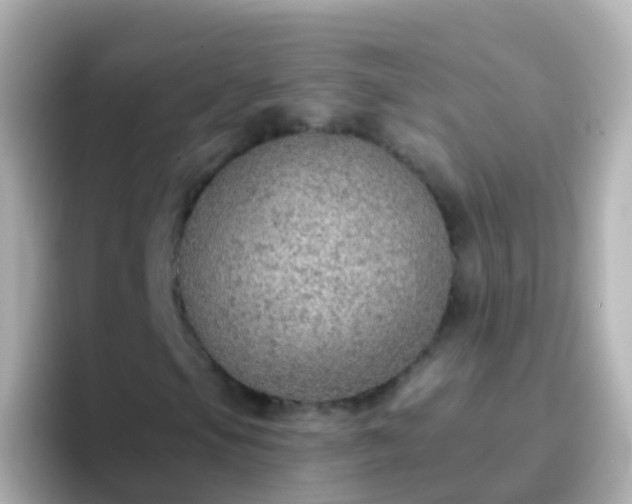 X0000096691105200802121226