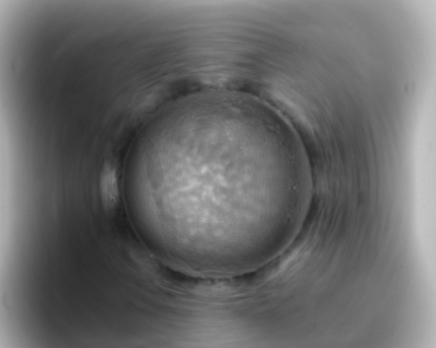 X0000096691106200802121226