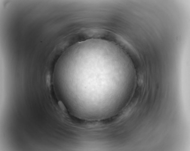 X0000096691108200802121226