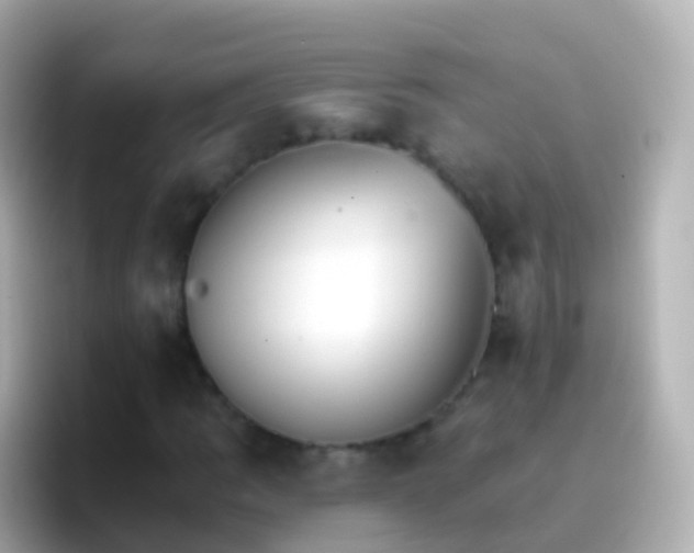 X0000096691109200802121226