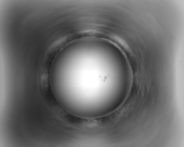 X0000096691111200802121226