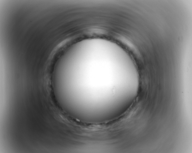 X0000096691112200802121226