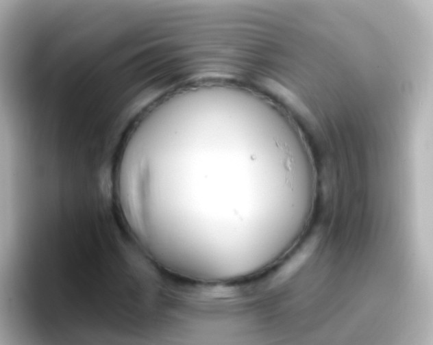 X0000096691113200802121226