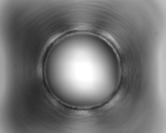 X0000096691114200802121226