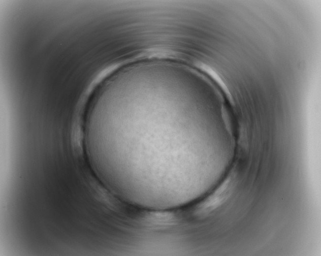 X0000096691115200802121226