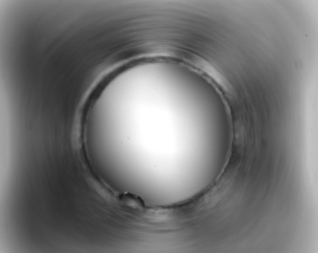 X0000096691116200802121226