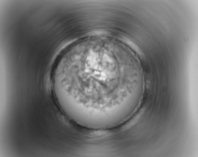 X0000096691117200802121226