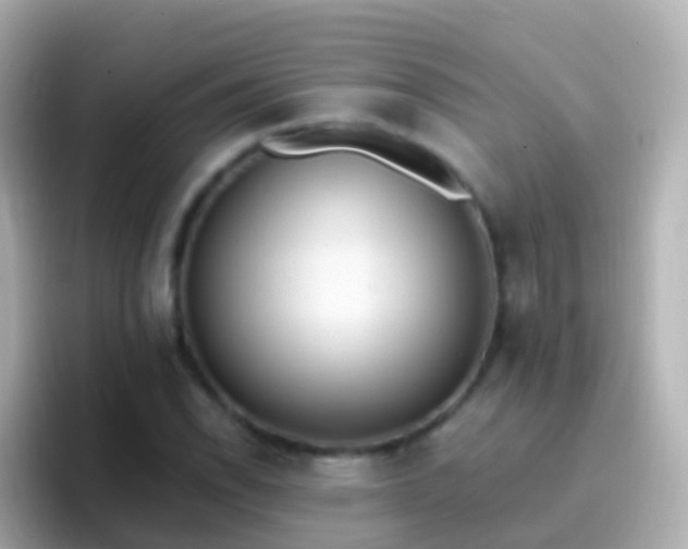 X0000096691118200802121226