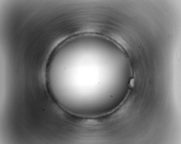 X0000096691119200802121226