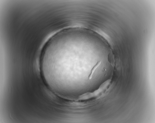 X0000096691120200802121226