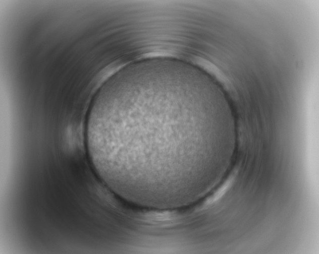 X0000096691121200802121227