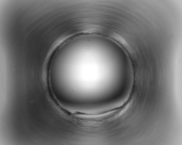 X0000096691122200802121227