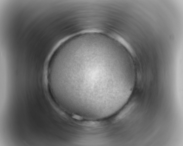 X0000096691124200802121227