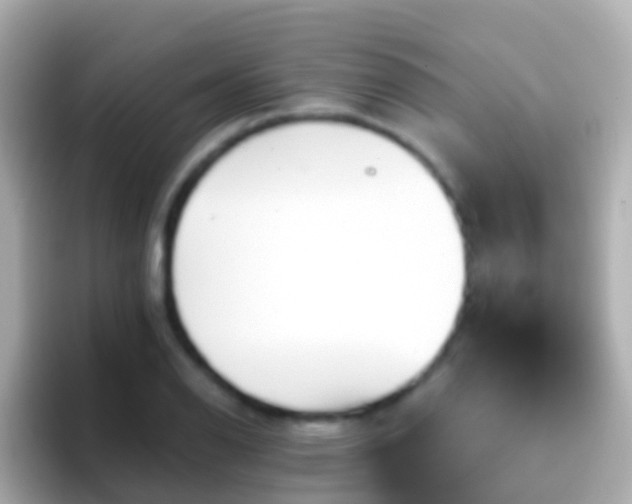 X0000096691126200802121227