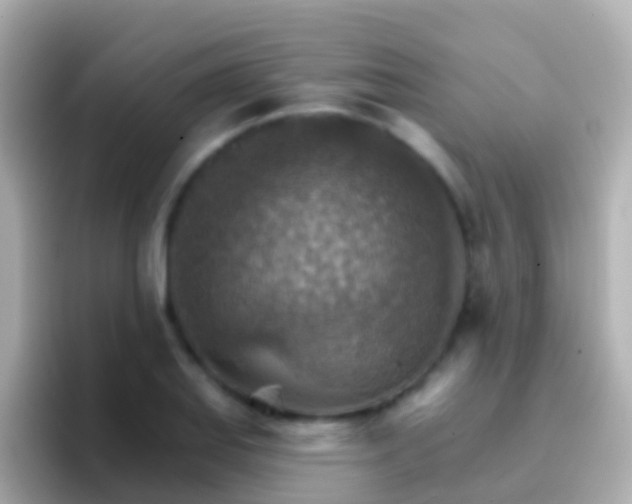 X0000096691127200802121227