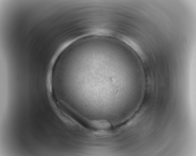 X0000096691128200802121227