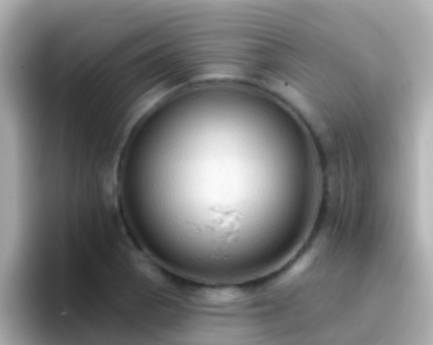 X0000096691129200802121227