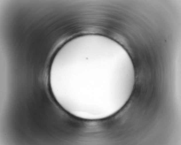 X0000096691130200802121227