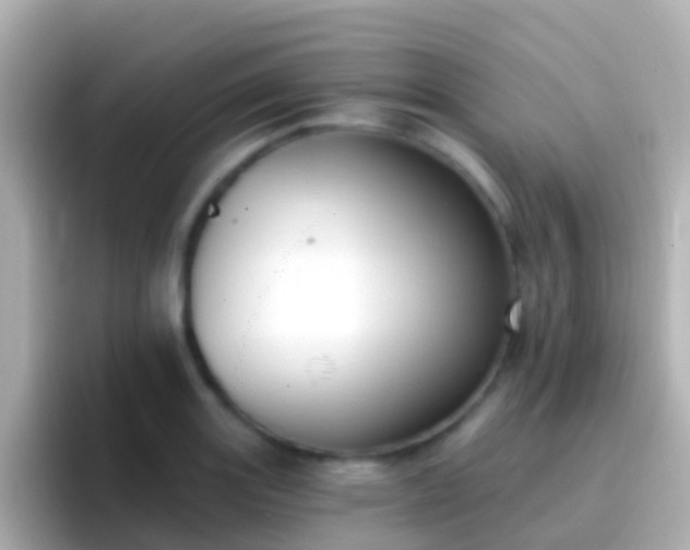 X0000096691131200802121227