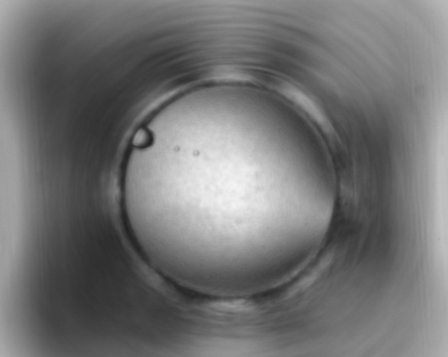 X0000096691133200802121227