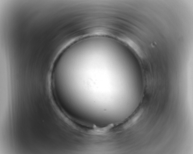 X0000096691134200802121227