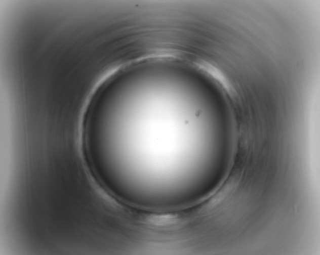 X0000096691135200802121227